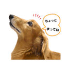 こちゃpart2（個別スタンプ：5）