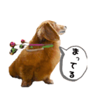 こちゃpart2（個別スタンプ：7）