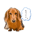 こちゃpart2（個別スタンプ：9）