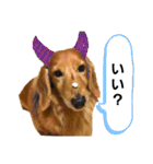 こちゃpart2（個別スタンプ：10）