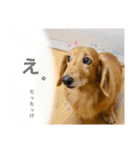 こちゃpart2（個別スタンプ：11）