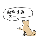 柴犬スタイルバージョン1（個別スタンプ：2）