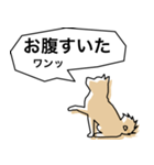 柴犬スタイルバージョン1（個別スタンプ：4）