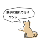 柴犬スタイルバージョン1（個別スタンプ：5）
