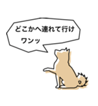 柴犬スタイルバージョン1（個別スタンプ：6）