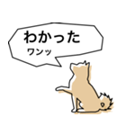 柴犬スタイルバージョン1（個別スタンプ：7）