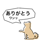 柴犬スタイルバージョン1（個別スタンプ：8）
