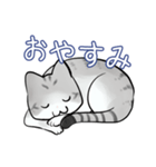 ねこ団子ちゃん（個別スタンプ：5）