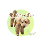 我らがアイドル ルル（個別スタンプ：2）