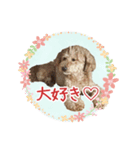 我らがアイドル ルル（個別スタンプ：3）