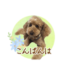 我らがアイドル ルル（個別スタンプ：7）