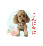 我らがアイドル ルル（個別スタンプ：8）