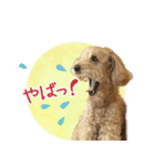 我らがアイドル ルル（個別スタンプ：11）