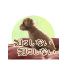 我らがアイドル ルル（個別スタンプ：12）