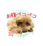 我らがアイドル ルル（個別スタンプ：14）