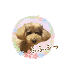 我らがアイドル ルル（個別スタンプ：15）