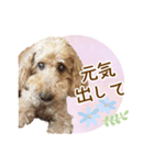 我らがアイドル ルル（個別スタンプ：21）