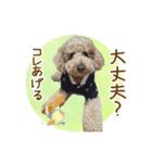 我らがアイドル ルル（個別スタンプ：23）