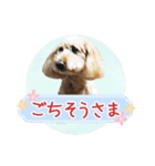 我らがアイドル ルル（個別スタンプ：24）