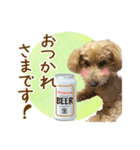 我らがアイドル ルル（個別スタンプ：28）