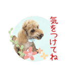 我らがアイドル ルル（個別スタンプ：32）