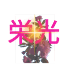 感動系大文字桜№7博子大公HRKEmperorSTAMP（個別スタンプ：4）