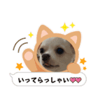 クティスタンプ②（個別スタンプ：3）