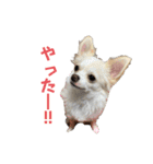 クティスタンプ②（個別スタンプ：4）