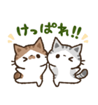 猫のコハマとコエリ【北海道弁】（個別スタンプ：17）