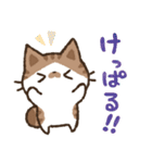 猫のコハマとコエリ【北海道弁】（個別スタンプ：18）