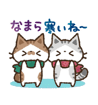 猫のコハマとコエリ【北海道弁】（個別スタンプ：34）