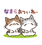 猫のコハマとコエリ【北海道弁】（個別スタンプ：37）