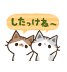 猫のコハマとコエリ【北海道弁】（個別スタンプ：40）