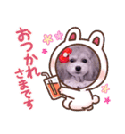 イヴたんトイプードル（個別スタンプ：24）