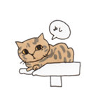 キジトラと茶トラ白ねこスタンプ（個別スタンプ：15）