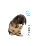 のんちゃん〜敬語編〜（個別スタンプ：3）