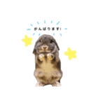 のんちゃん〜敬語編〜（個別スタンプ：4）