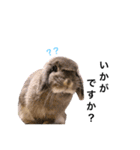 のんちゃん〜敬語編〜（個別スタンプ：13）