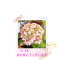 お花で挨拶しょう（個別スタンプ：4）