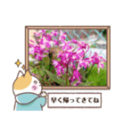 お花で挨拶しょう（個別スタンプ：24）