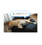 ももふきだし（個別スタンプ：1）