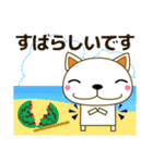 優しい気づかい 猫 夏編 暑中見舞い★日常（個別スタンプ：18）