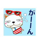 優しい気づかい 猫 夏編 暑中見舞い★日常（個別スタンプ：27）