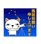 優しい気づかい 猫 夏編 暑中見舞い★日常（個別スタンプ：38）