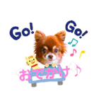チョコちゃんスタンプ♡*(おでかけ編)（個別スタンプ：1）