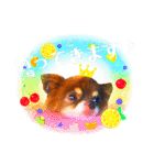 チョコちゃんスタンプ♡*(おでかけ編)（個別スタンプ：4）