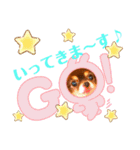 チョコちゃんスタンプ♡*(おでかけ編)（個別スタンプ：5）