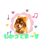 チョコちゃんスタンプ♡*(おでかけ編)（個別スタンプ：10）