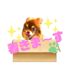 チョコちゃんスタンプ♡*(おでかけ編)（個別スタンプ：17）