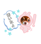 チョコちゃんスタンプ♡*(おでかけ編)（個別スタンプ：19）